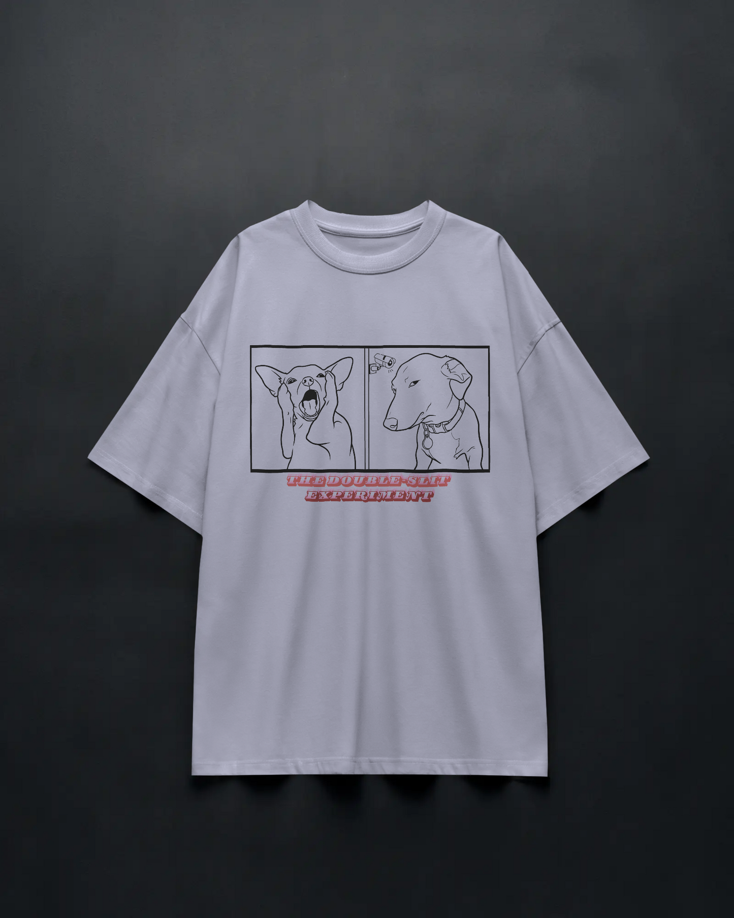 Double Slit Experiment - Unisex Oversized Tee