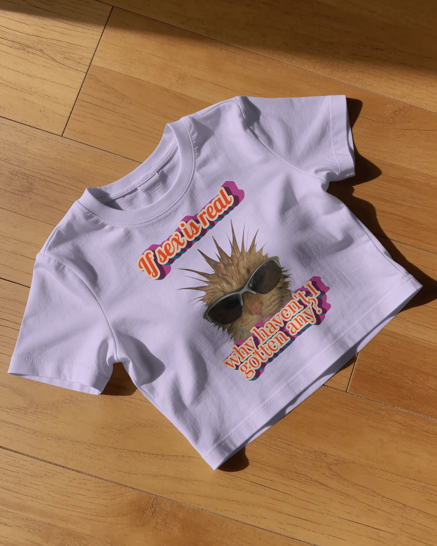 Nice Try Sexists - Baby Tee