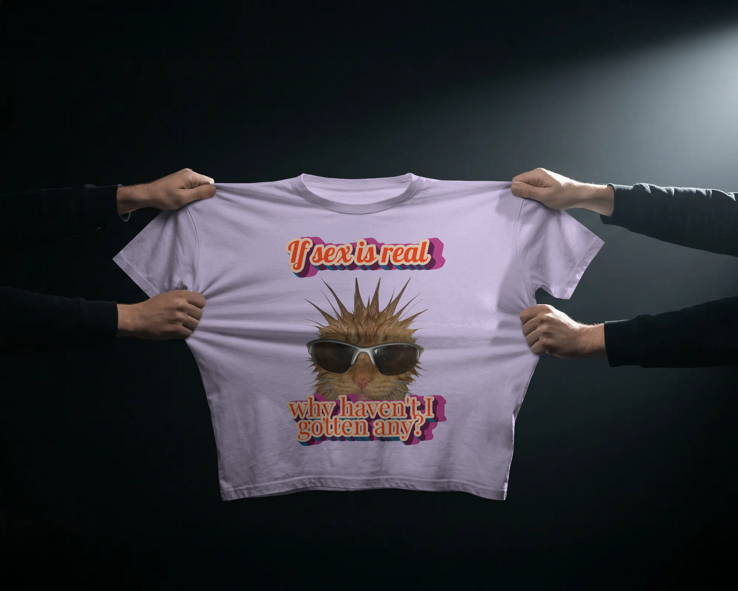 Nice Try Sexists - Baby Tee