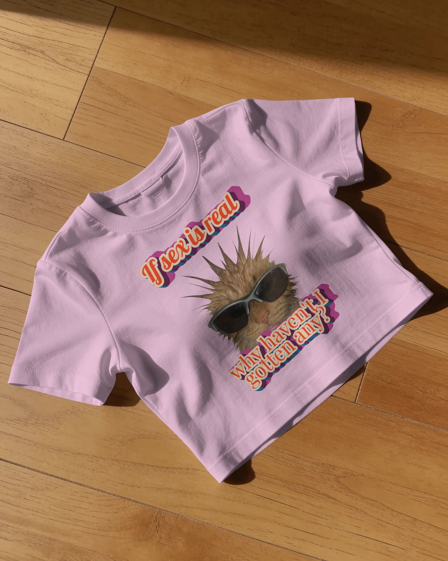 Nice Try Sexists - Baby Tee