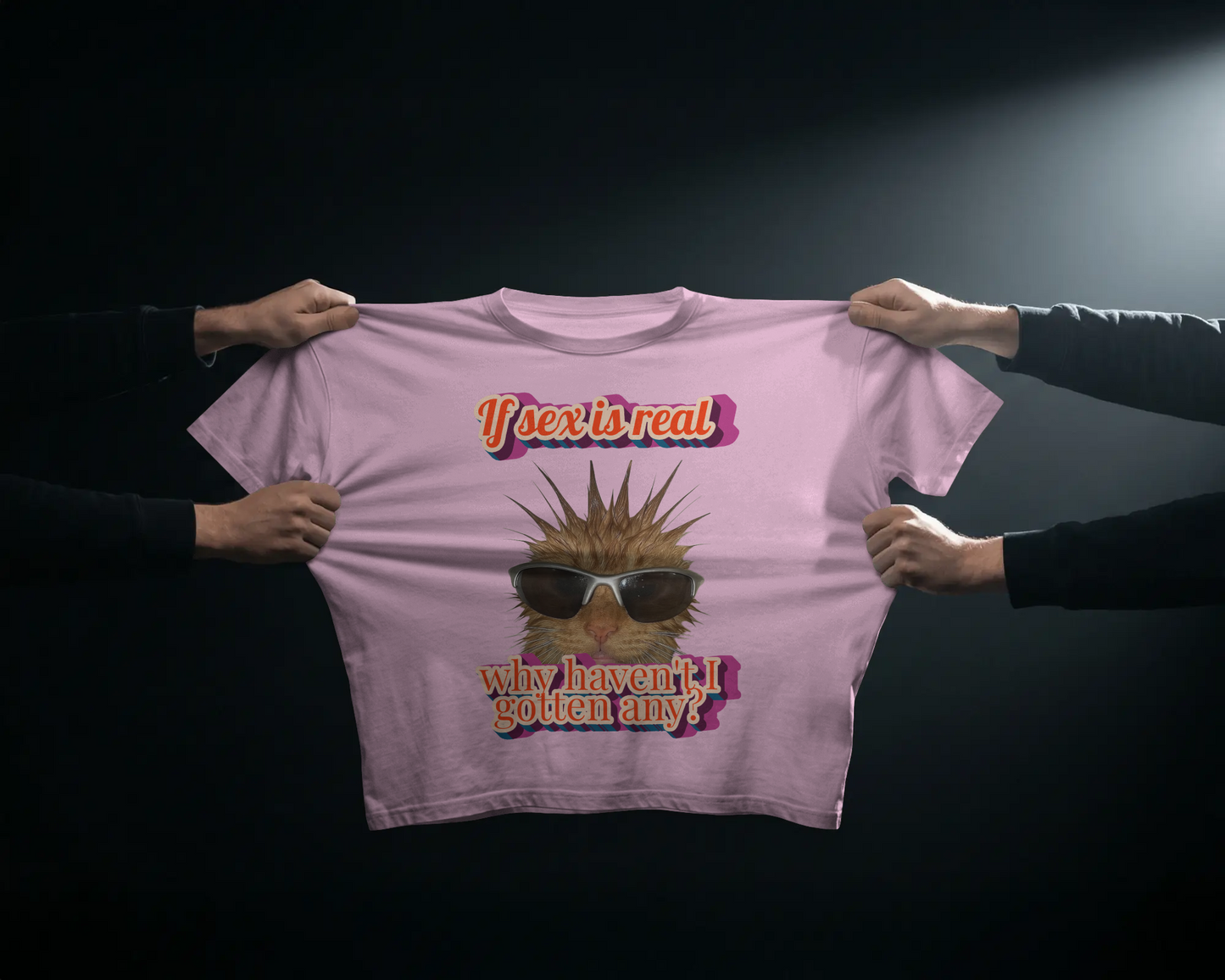 Nice Try Sexists - Baby Tee