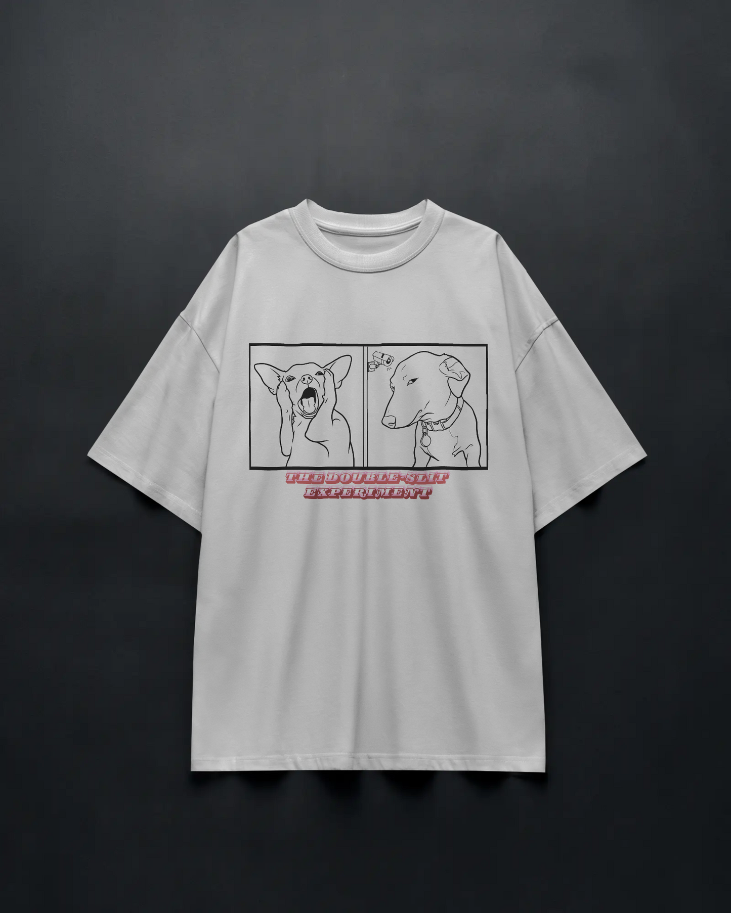 Double Slit Experiment - Unisex Oversized Tee