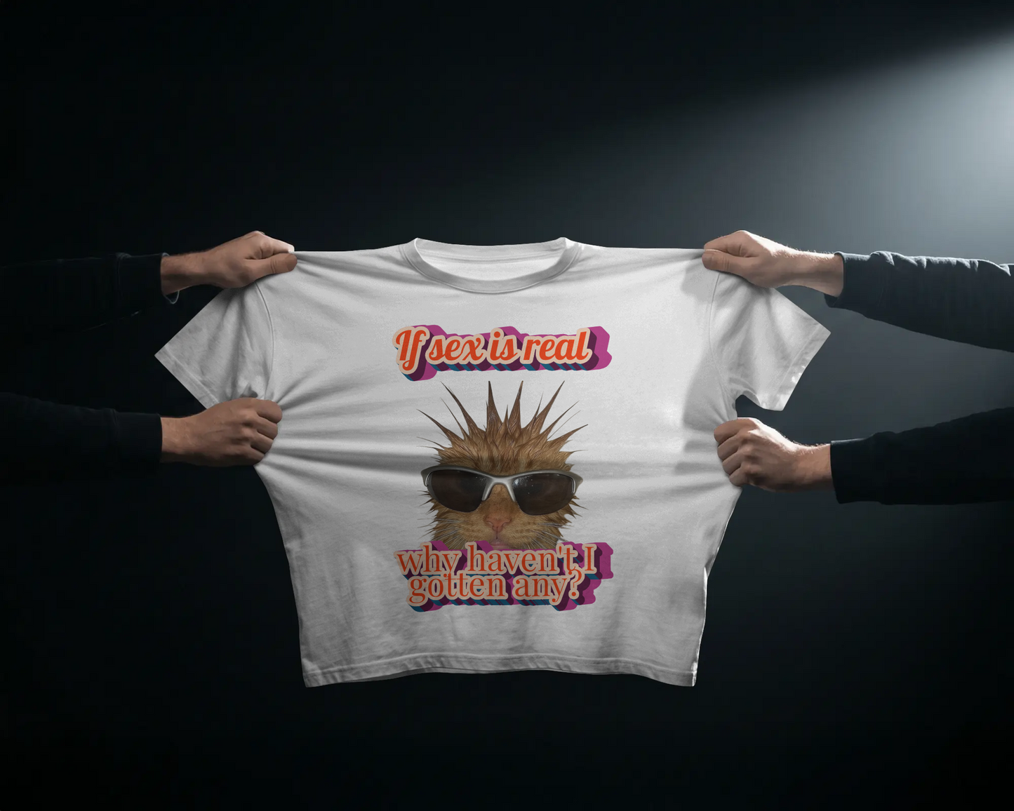 Nice Try Sexists - Baby Tee
